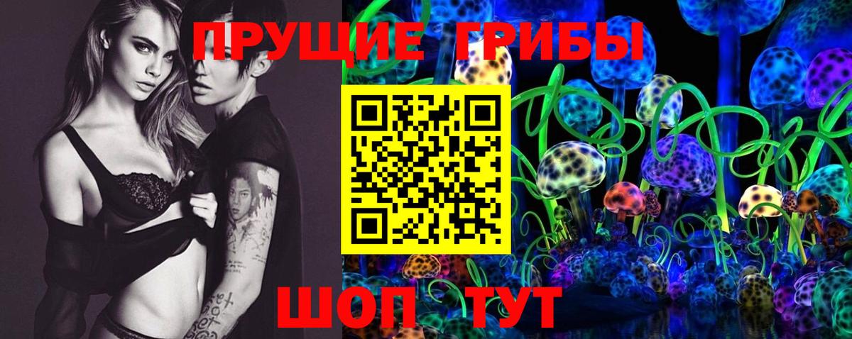 Псилоцибиновые грибы прущие грибы Шали
