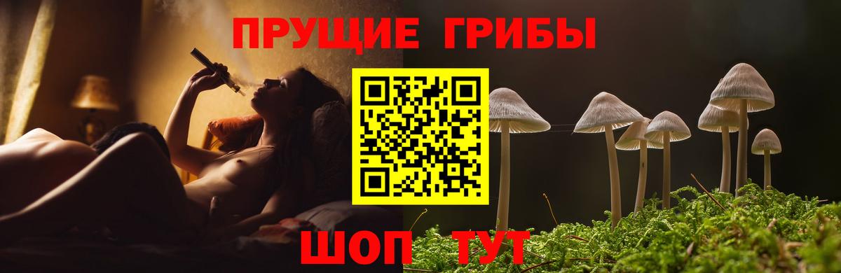 Шали  где продают   Вход с VPN  Псилоцибиновые грибы Magic Shrooms 